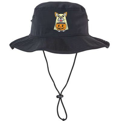 Welsh Corgi Ghost Funny Halloween Costume Dog Owner Lover Bucket Hat