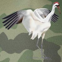 Whooping Crane Graphic Wildlife Bird Watching Legacy Tie Dye Trucker Hat