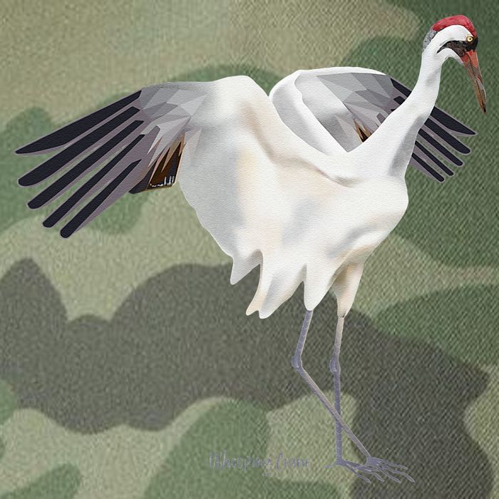 Whooping Crane Graphic Wildlife Bird Watching Legacy Tie Dye Trucker Hat