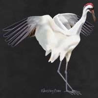 Whooping Crane Graphic Wildlife Bird Watching 7 Panel Mesh Trucker Snapback Hat