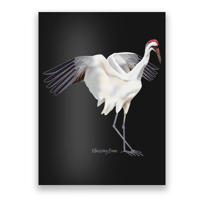 Whooping Crane Graphic Wildlife Bird Watching Poster