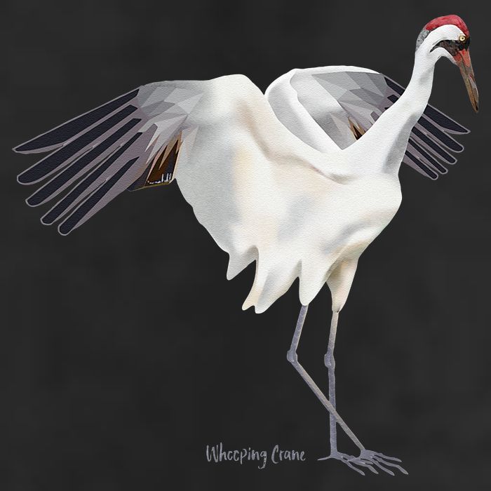 Whooping Crane Graphic Wildlife Bird Watching 25L Jumbo Tote