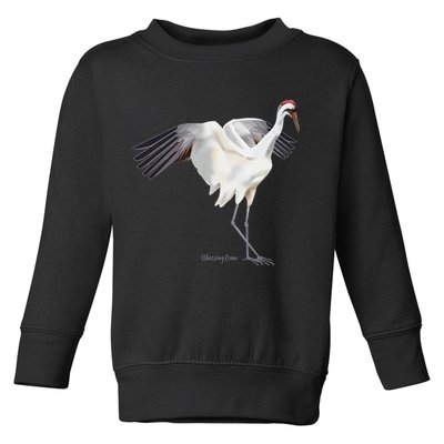 Whooping Crane Graphic Wildlife Bird Watching Toddler Sweatshirt