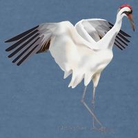 Whooping Crane Graphic Wildlife Bird Watching Garment-Dyed Sweatshirt