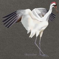 Whooping Crane Graphic Wildlife Bird Watching Cotton Canvas Backpack