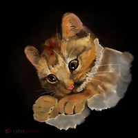 Watercolor Cat Illustration Flatbill Hat