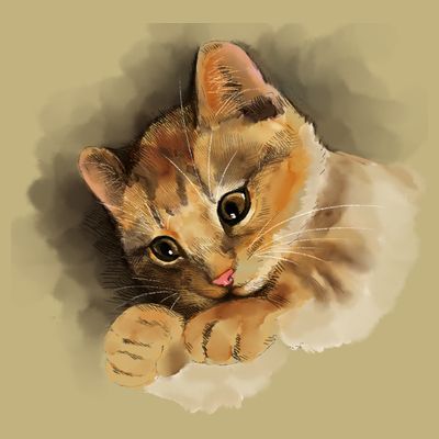 Watercolor Cat Illustration T-Shirt