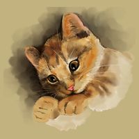 Watercolor Cat Illustration Button