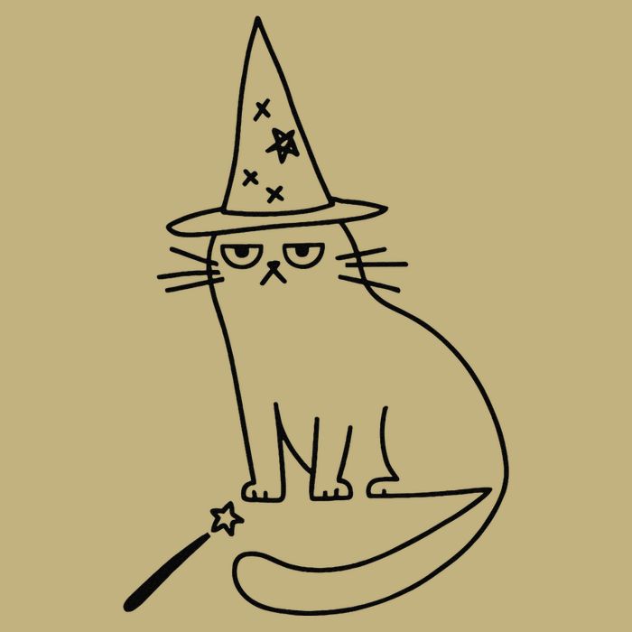 Wizard Cat Meme Funny Halloween Costume Funny Memes Dank Tall Long Sleeve T-Shirt