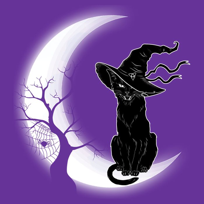 Witch Cat Moon Halloween Short Acrylic Beanie