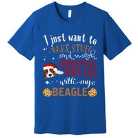 Watch Christmas Movies With My Beagle Dog Lover Gift Premium T-Shirt