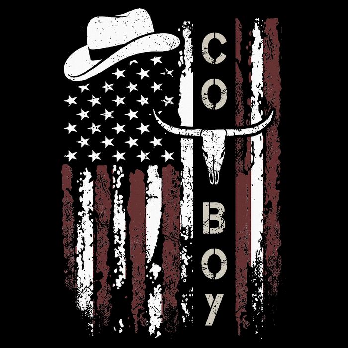 Western Country N Boy Rodeo Southern Retro Cowboy Hoodie