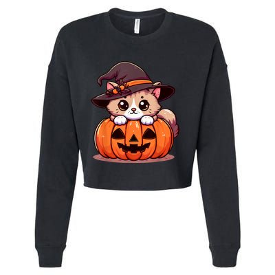 Witch Cat & Pumpkin Halloween Cute Cropped Pullover Crew