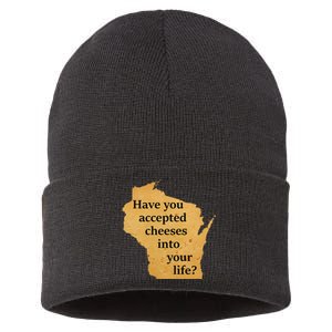 Wisconsin Cheese Pun Sustainable Knit Beanie