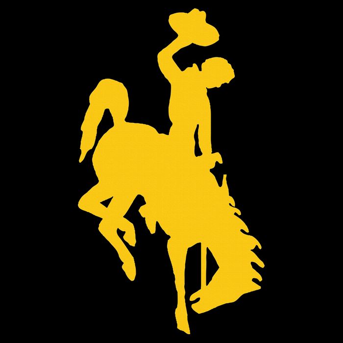 Wyoming Cowboy Riding A Bucking Horse Zip Tote Bag