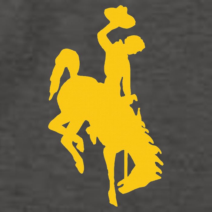 Wyoming Cowboy Riding A Bucking Horse Vector Backpack