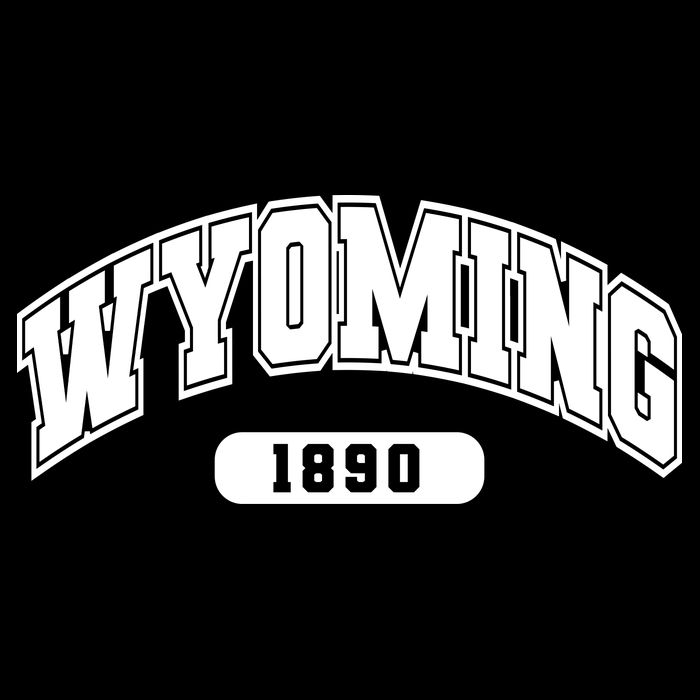 Wyoming Collegiate Style 1890 Impact Tech Backpack