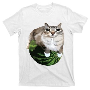 Watermelon Cat Silly Cat Meme T-Shirt