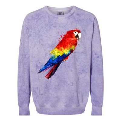 Watercolour Colourful Scarlet Macaw Parrot Bird Painting Colorblast Crewneck Sweatshirt