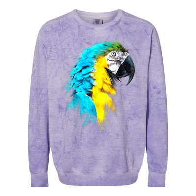 Watercolor Colourful Scarlet Macaw Parrot Bird Painting Colorblast Crewneck Sweatshirt