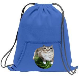 Watermelon Cat Silly Cat Meme Sweatshirt Cinch Pack Bag