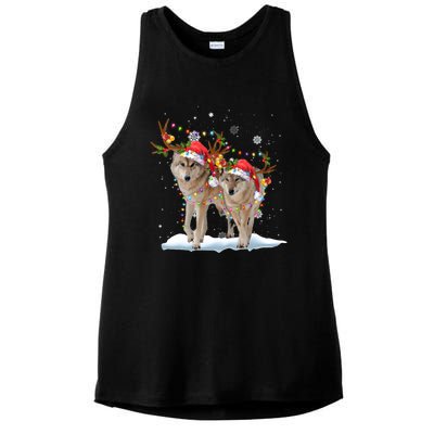 Wolf Christmas Santa Hat Tree Lights Xmas Funny Wolf Gift Ladies PosiCharge Tri-Blend Wicking Tank