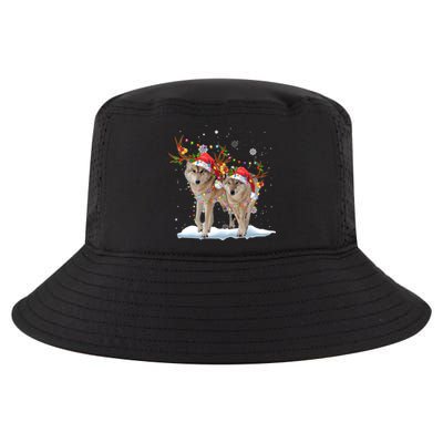 Wolf Christmas Santa Hat Tree Lights Xmas Funny Wolf Gift Cool Comfort Performance Bucket Hat