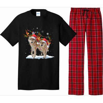 Wolf Christmas Santa Hat Tree Lights Xmas Funny Wolf Gift Pajama Set