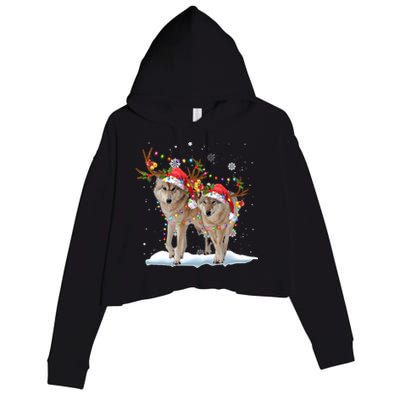 Wolf Christmas Santa Hat Tree Lights Xmas Funny Wolf Gift Crop Fleece Hoodie