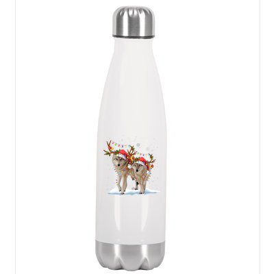 Wolf Christmas Santa Hat Tree Lights Xmas Funny Wolf Gift Stainless Steel Insulated Water Bottle