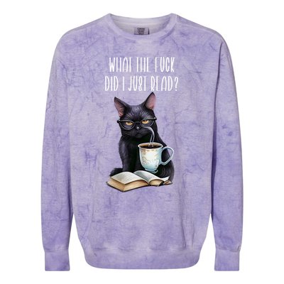 What Cat The Fuck Did I Just Read Meaningful Gift Coffee Cats And Books Gift Colorblast Crewneck Sweatshirt