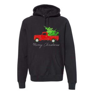 Wagon Christmas Tree On Car Xmas Vacation Premium Hoodie