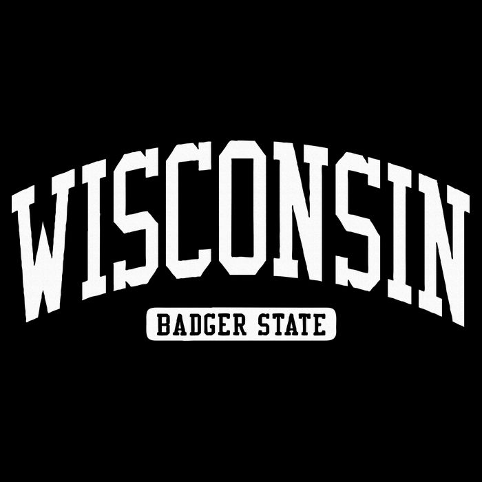 Wisconsin College University Style Toddler T-Shirt