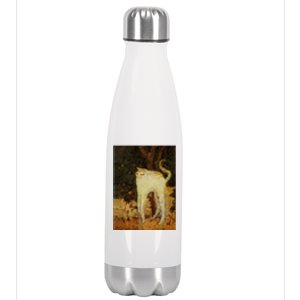 “White Cat” Stainless Steel Insulated Water Bottle