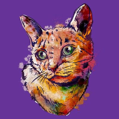 Watercolor Cat T-Shirt