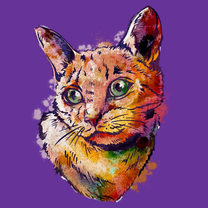 Watercolor Cat Premium T-Shirt