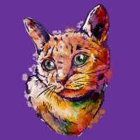 Watercolor Cat Women's V-Neck T-Shirt