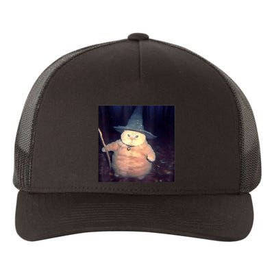 Wizard Cat Weird Funny Halloween Cat Meme Yupoong Adult 5-Panel Trucker Hat