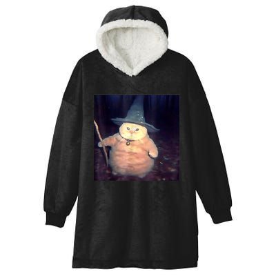 Wizard Cat Weird Funny Halloween Cat Meme Hooded Wearable Blanket