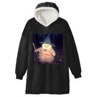 Wizard Cat Weird Funny Halloween Cat Meme Hooded Wearable Blanket