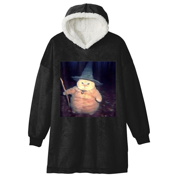 Wizard Cat Weird Funny Halloween Cat Meme Hooded Wearable Blanket