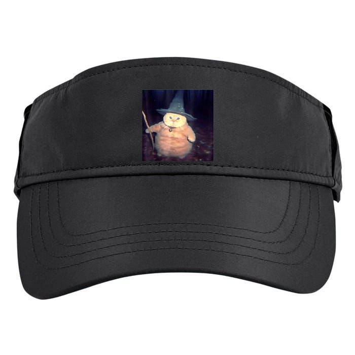 Wizard Cat Weird Funny Halloween Cat Meme Adult Drive Performance Visor