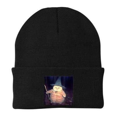 Wizard Cat Weird Funny Halloween Cat Meme Beanie