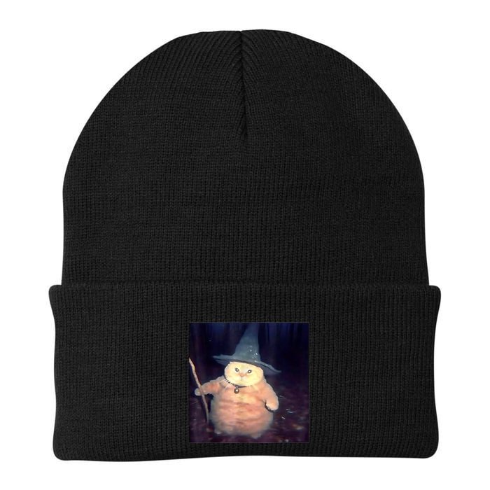 Wizard Cat Weird Funny Halloween Cat Meme Beanie