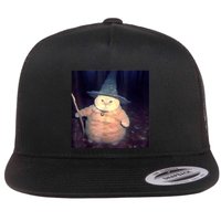 Wizard Cat Weird Funny Halloween Cat Meme Flatbill Hat