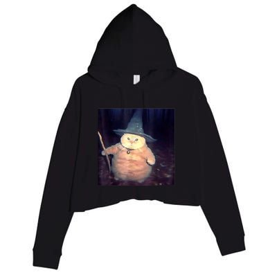 Wizard Cat Weird Funny Halloween Cat Meme Crop Fleece Hoodie