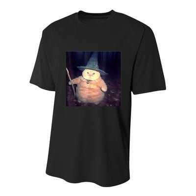 Wizard Cat Weird Funny Halloween Cat Meme Youth Performance Sprint T-Shirt
