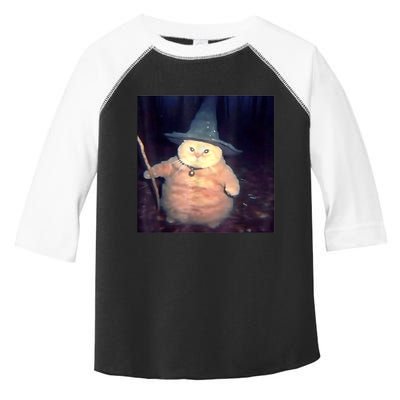 Wizard Cat Weird Funny Halloween Cat Meme Toddler Fine Jersey T-Shirt