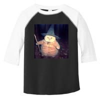 Wizard Cat Weird Funny Halloween Cat Meme Toddler Fine Jersey T-Shirt