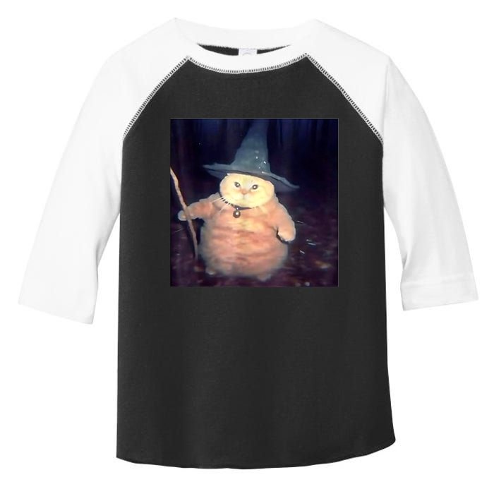 Wizard Cat Weird Funny Halloween Cat Meme Toddler Fine Jersey T-Shirt